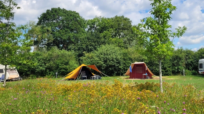 Natuurlijke Camping Schoneveld