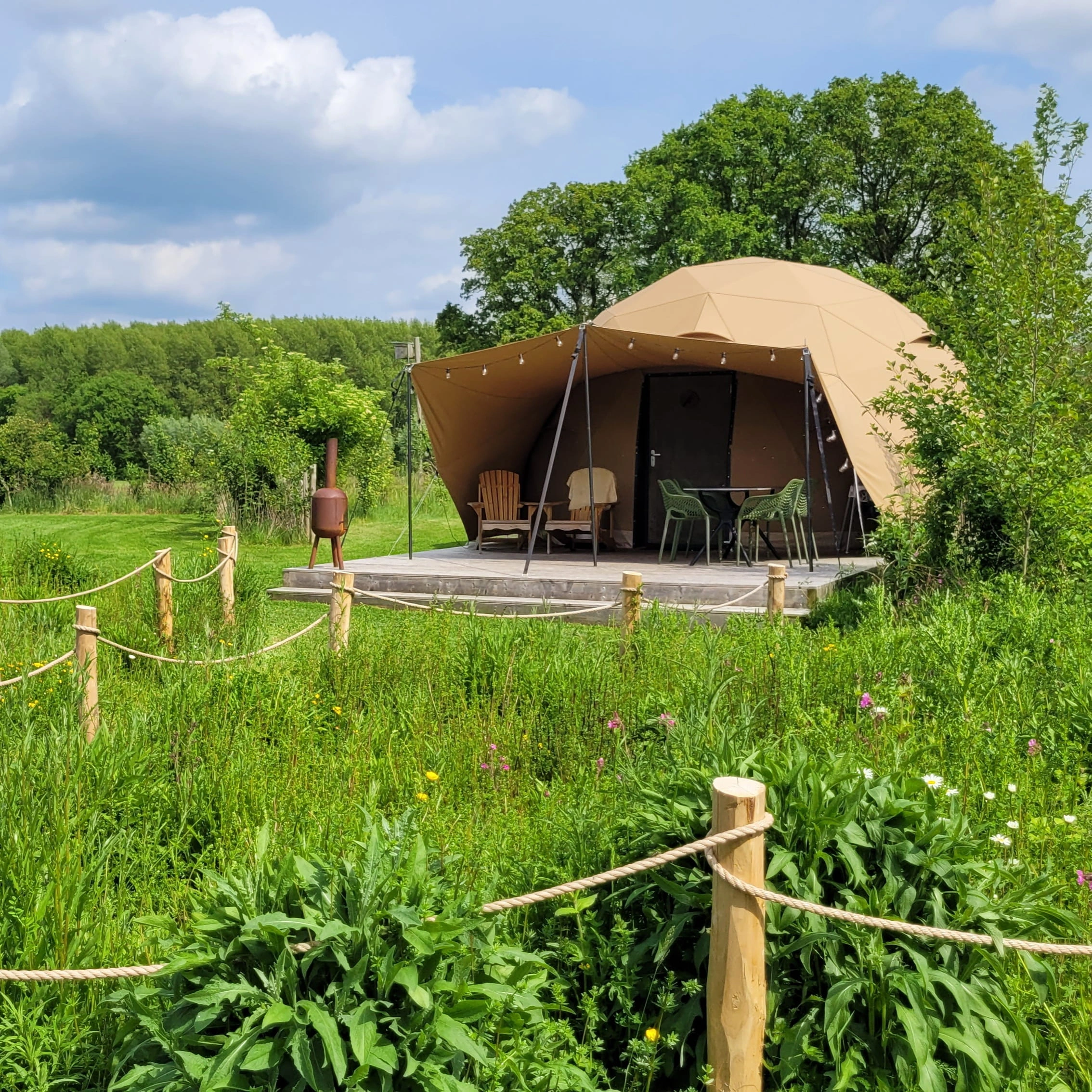 Natuurlijke Camping Schoneveld