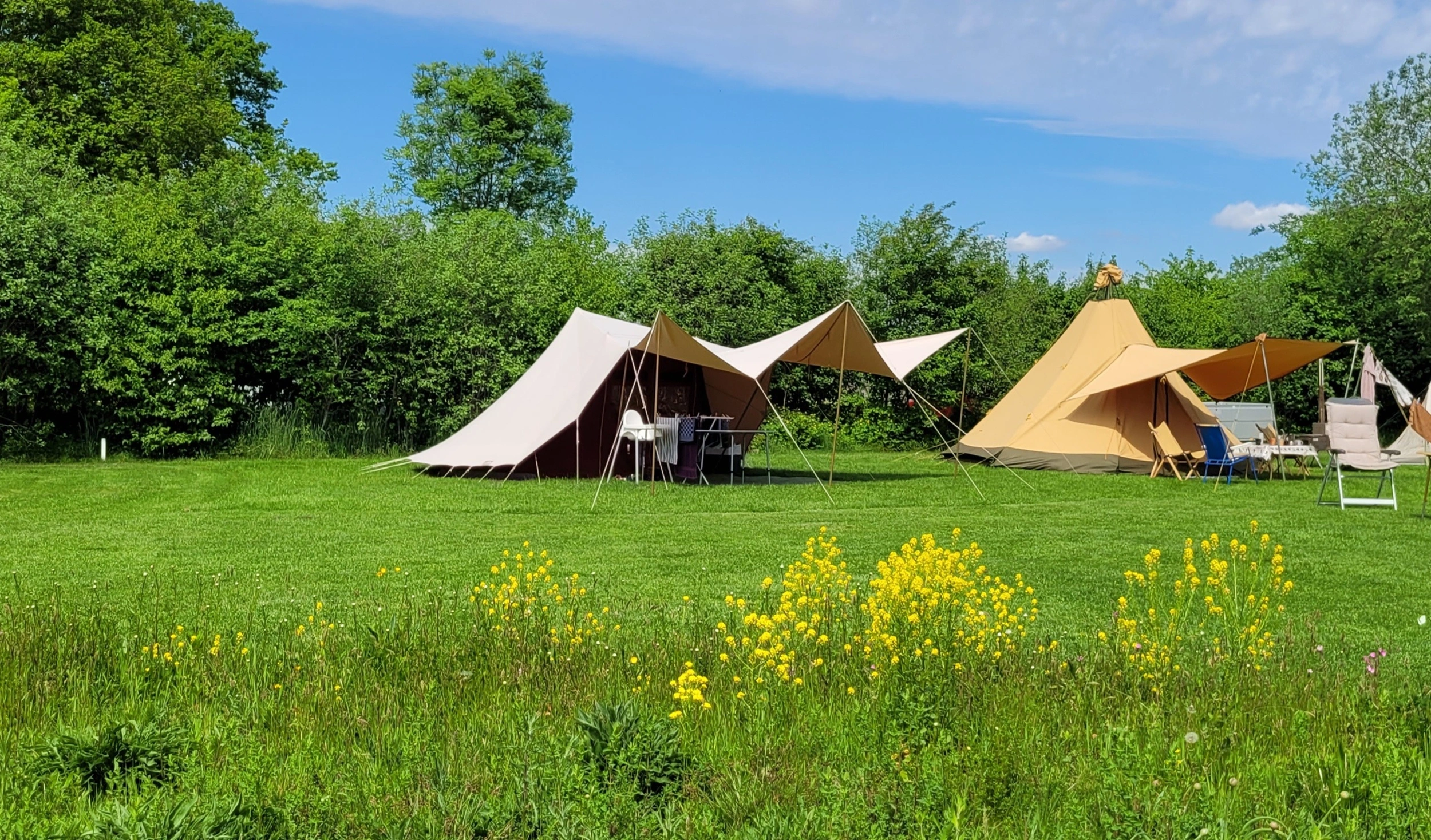 Natuurlijke Camping Schoneveld