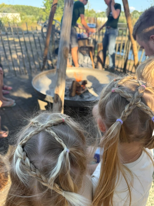 Natuurlijke Camping Schoneveld