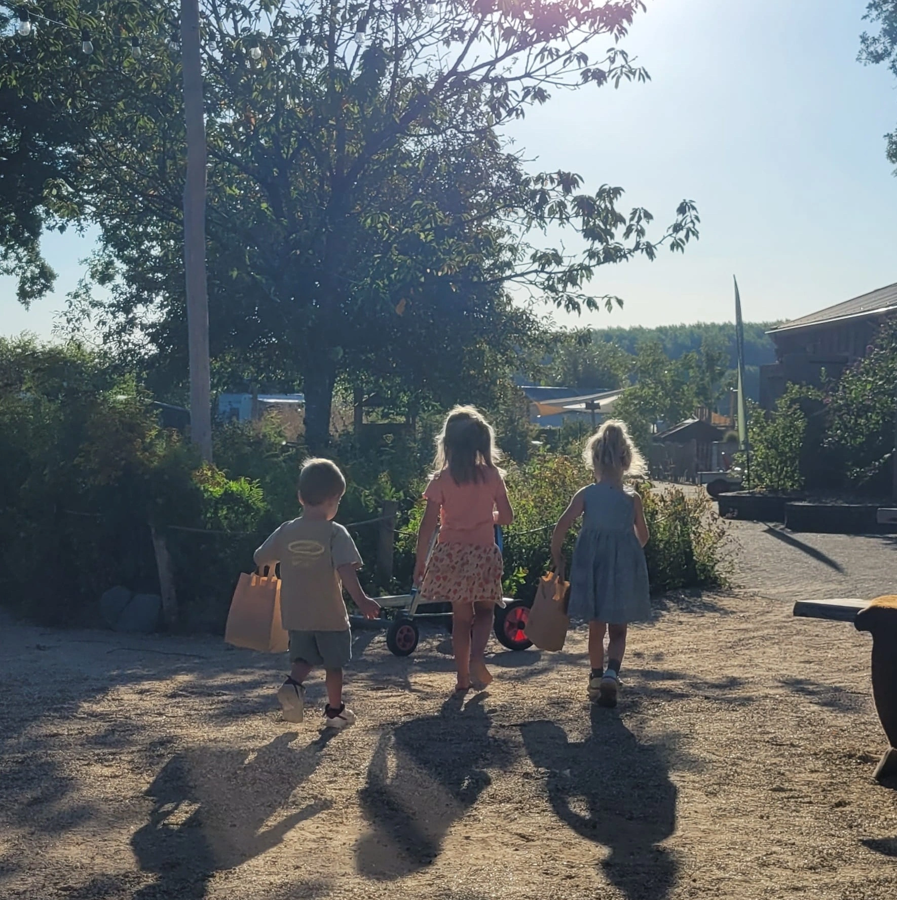 Natuurlijke Camping Schoneveld